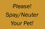 Spay Neuter Your Pet Flattened Wtrmrk Opti03